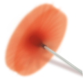 11.PNG